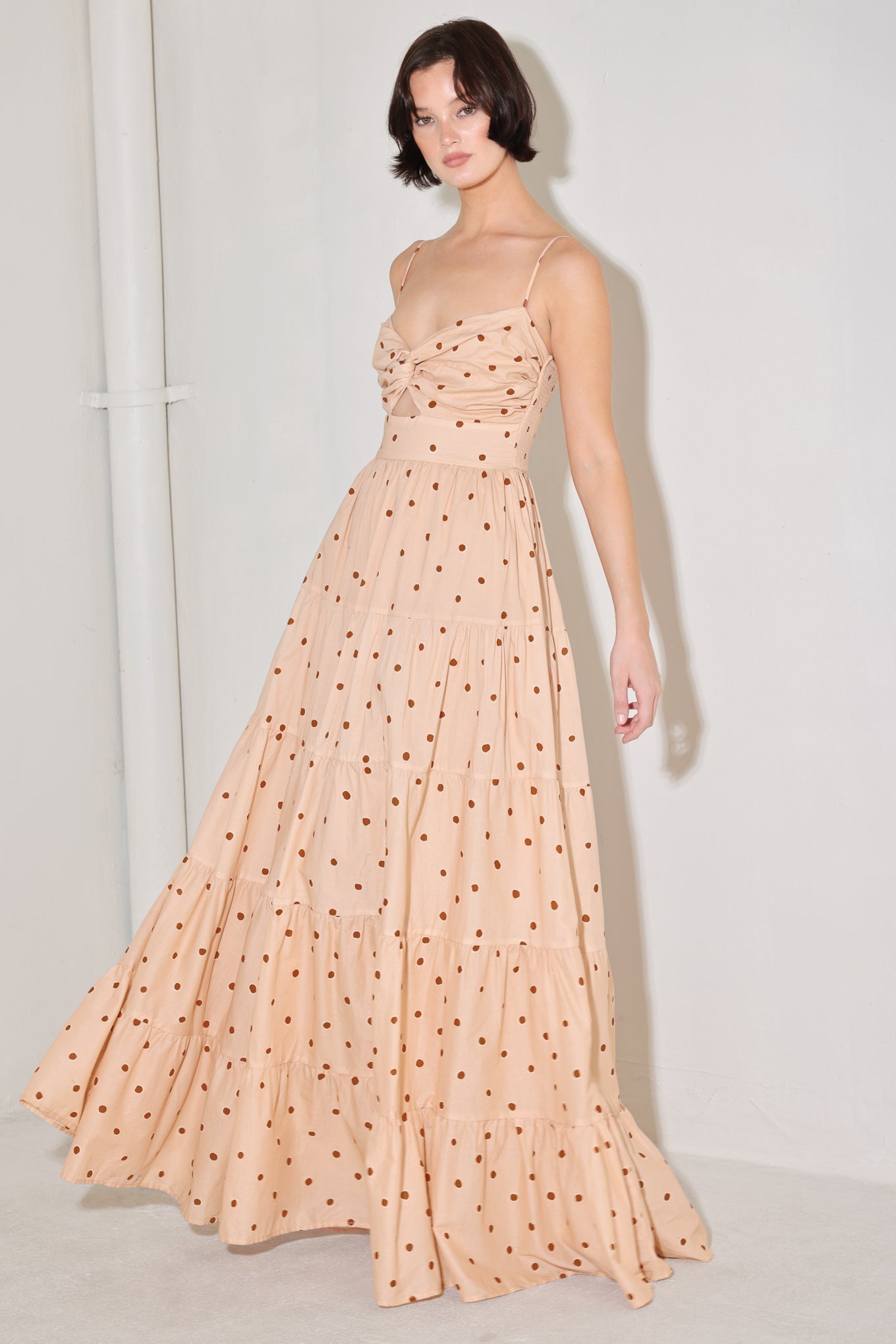 Polka Dot Woven Maxi Dress